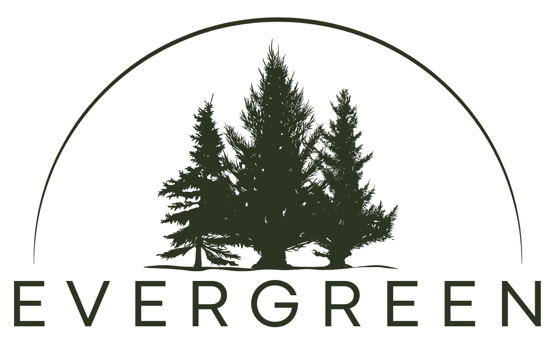 Evergreen Jerseys
